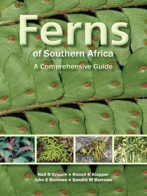 cover image of Ferns of Southern Africa